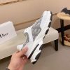 Dior White & Gray Oblique Monogram Chunky Sneakers