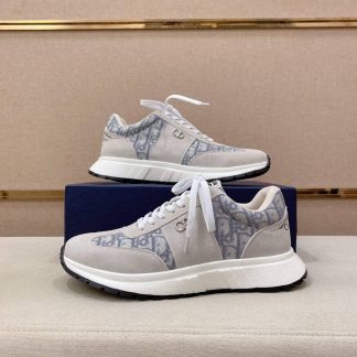 Gray & Blue Dior D-Connect Sneaker