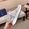 Gray & Blue Dior D-Connect Sneaker