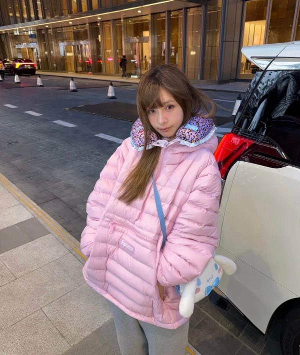 Supreme Micro Down Half Zip Hooded Down Jacket- Pink (3) Supreme Micro Down Half Zip Hooded Down Jacket- Pink