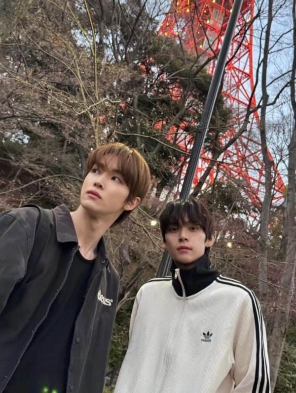 Adidas Adicolor Heritage Now Striped Track Collar Jacket- Off-White