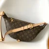 Louis Vuitton Bumbag Men's 2025 Monogram Canvas