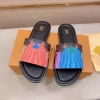 Louis Vuitton Multicolour Canvas Slide with Italian Fabric