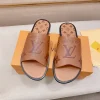 Louis Vuitton Oasis Mule Men's Brown Leather Slide