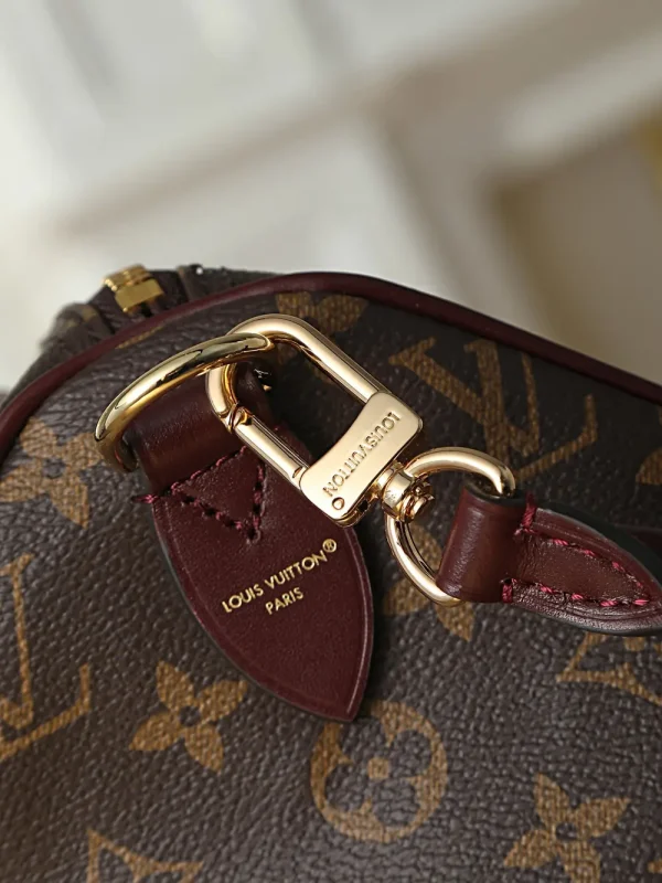 Louis Vuitton Speedy Soft 30 Monogram Handbag