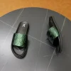 Louis Vuitton Waterfront Mule Men's Green Slide
